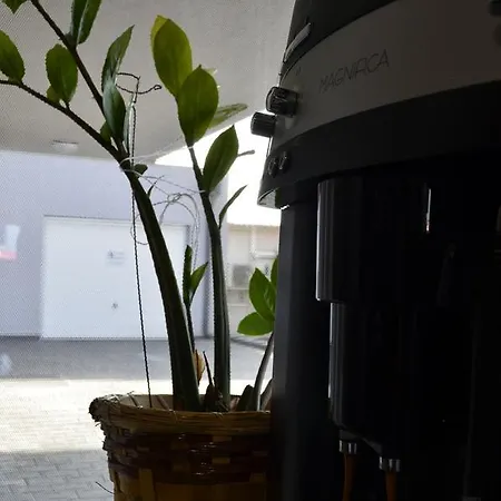 M36 Panzio Es Apartman Отель типа 